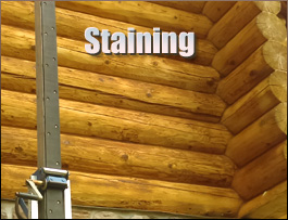  Sealevel, North Carolina Log Home Staining